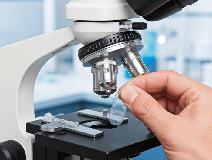 人工心脏瓣膜生物相容性检测