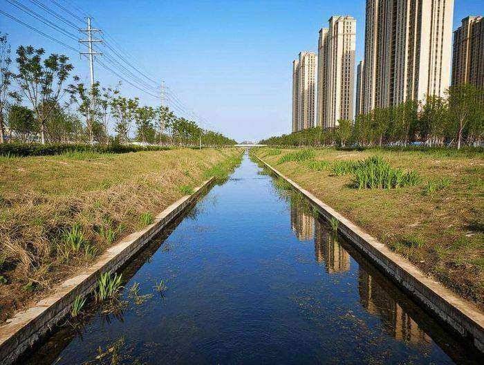 生态沟渠水质净化效果评估