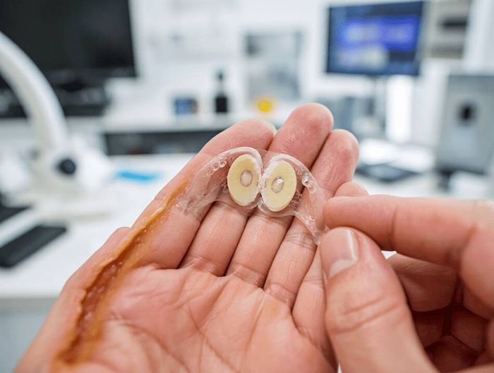 心脏瓣膜生物相容性检测