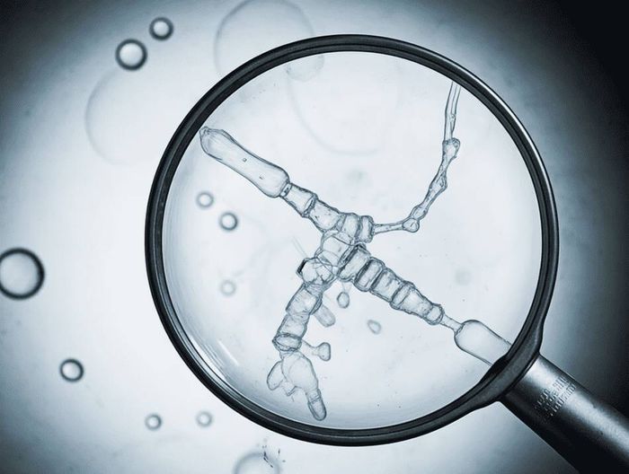 不可吸收缝合线生物相容性检测