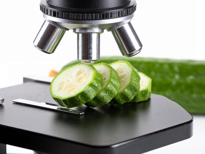 丝瓜微生物检测