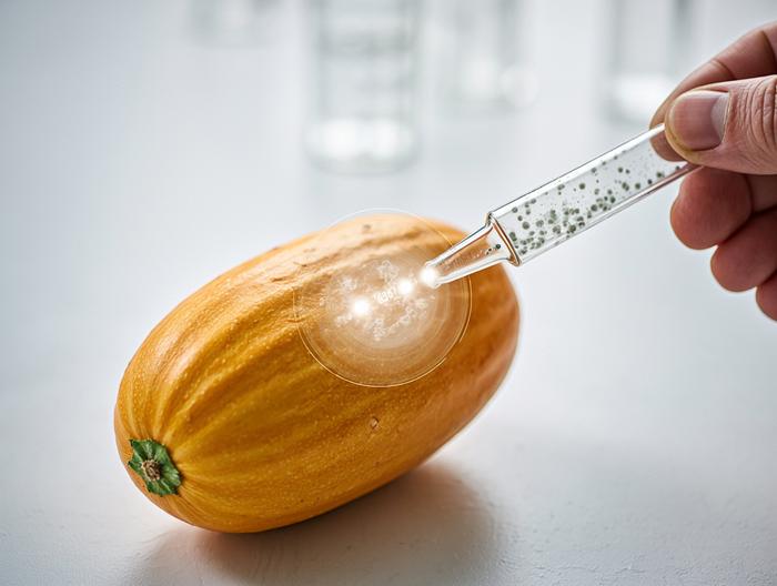 香瓜微生物检测