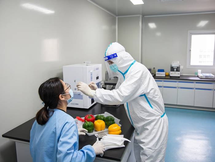 甜椒农药残留检测