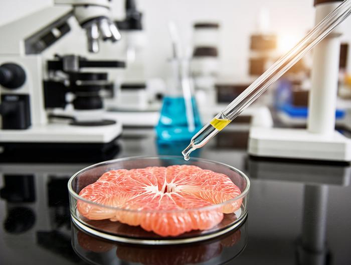 柚子微生物检测