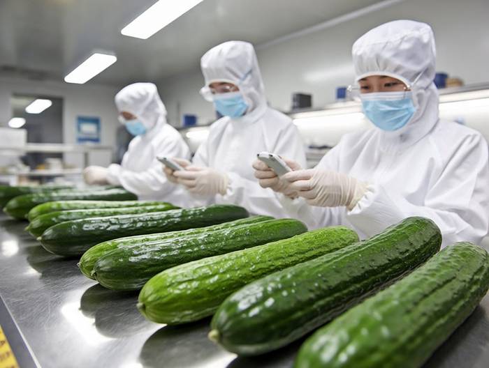 冬瓜农药残留检测