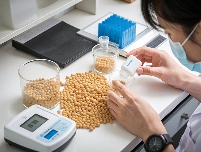 黄豆营养成分分析