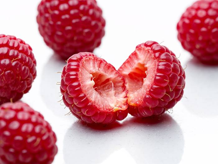 树莓转基因成分鉴定