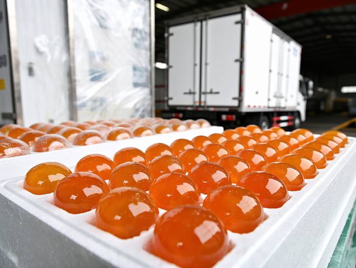 咸蛋黄冷链运输验证