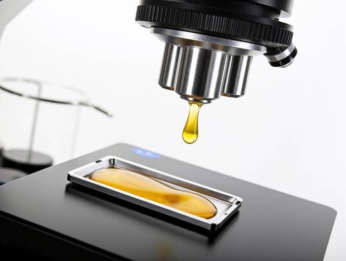 大豆油转基因成分鉴定