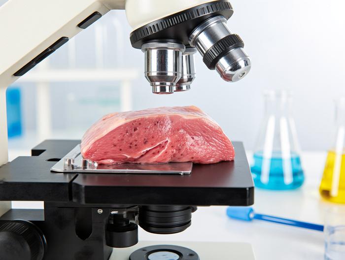 鸭肉微生物检测