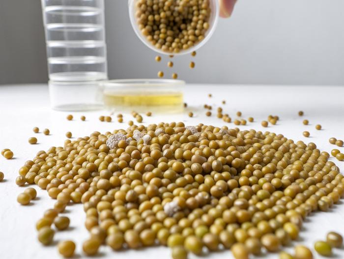 绿豆微生物检测