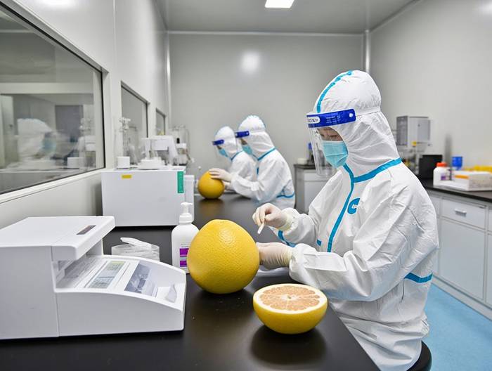 柚子农药残留检测