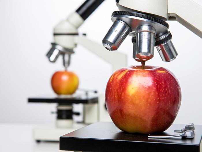 苹果微生物检测