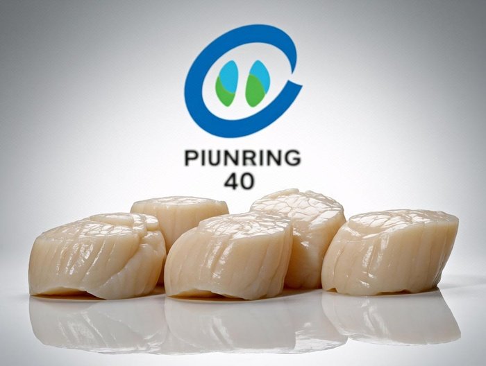 扇贝营养成分分析