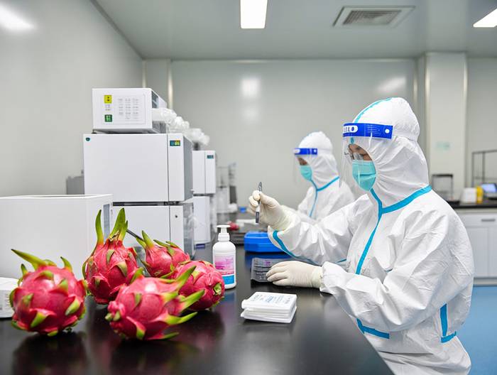 火龙果农药残留检测