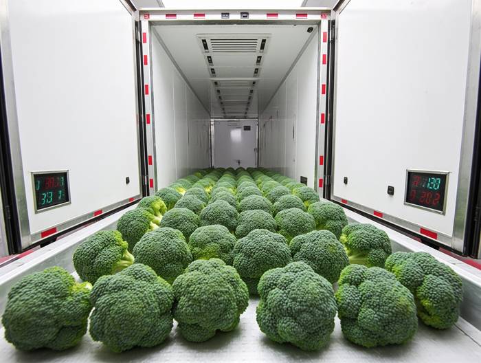 速冻西兰花冷链运输验证
