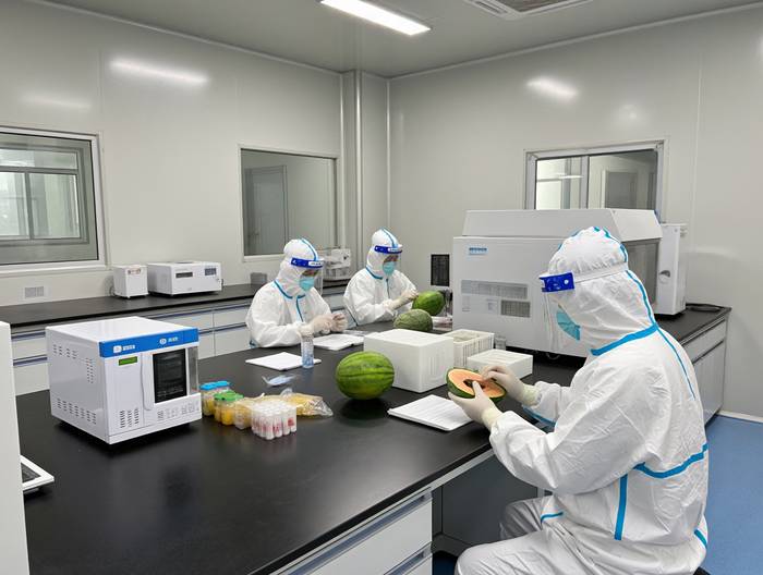 甜瓜农药残留检测