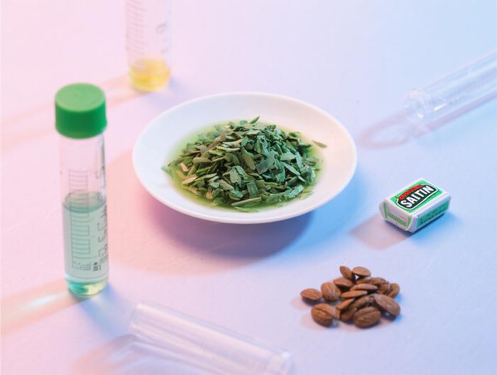 清凉油原料药杂质分析