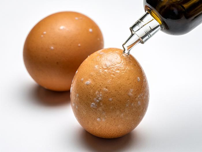 鹅蛋微生物检测