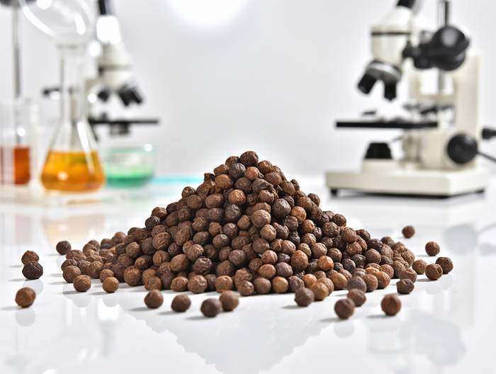 豆豉转基因成分鉴定