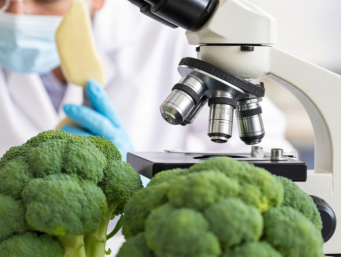西兰花微生物检测
