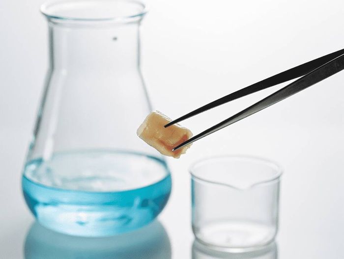 异物钳生物相容性检测