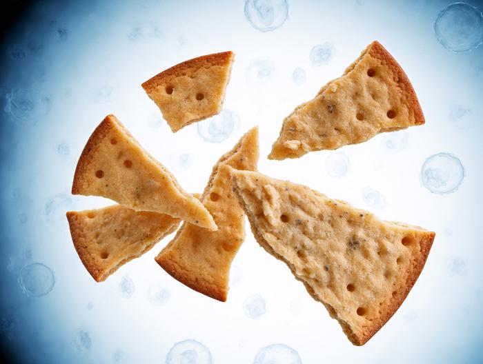 饼干微生物检测