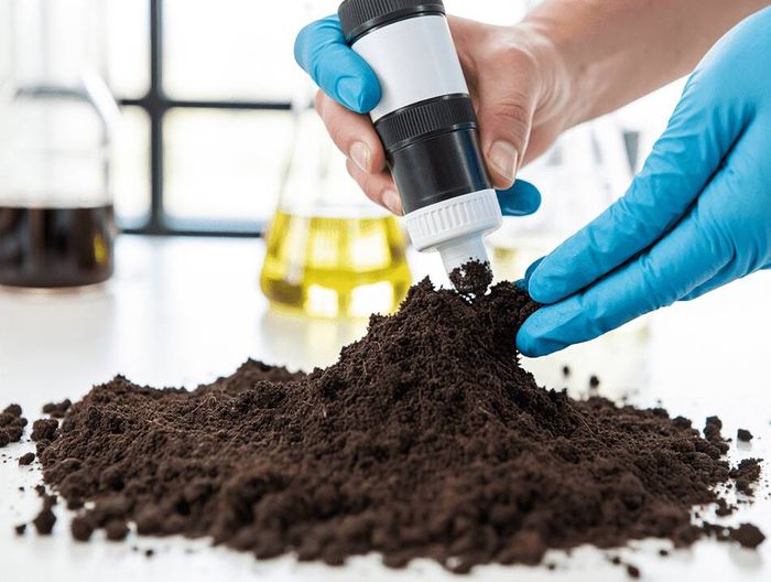 土壤多环芳烃(PAHs)检测