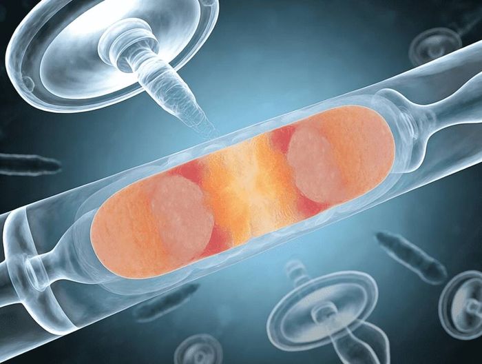 硬脑膜补片材料生物相容性检测
