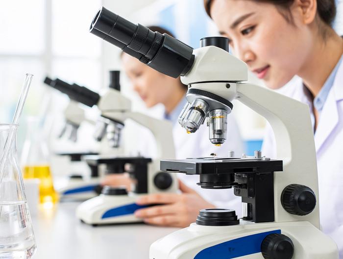 蜂胶微生物检测