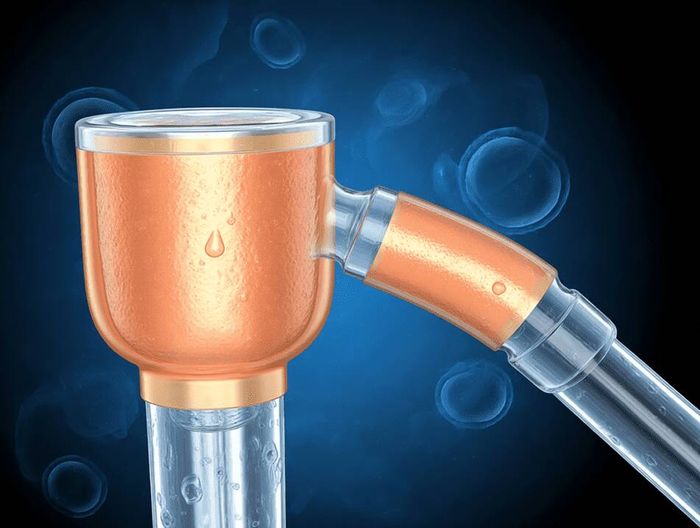 泪道引流管生物相容性检测