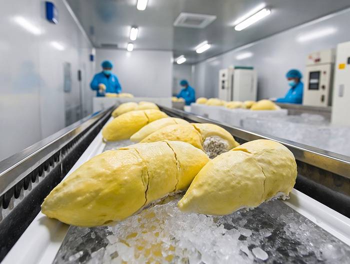 榴莲果肉冷链运输验证