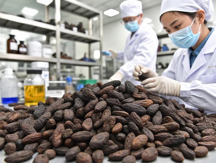 天然橡胶危险品分类鉴定