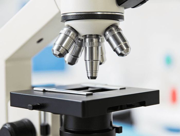 牙科种植体化学表征检测