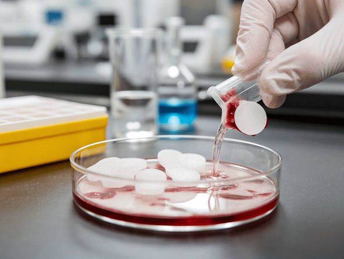 医用级聚丙烯制品生物相容性检测