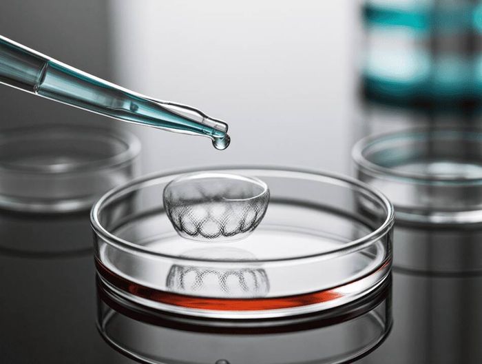 隐形眼镜生物相容性检测