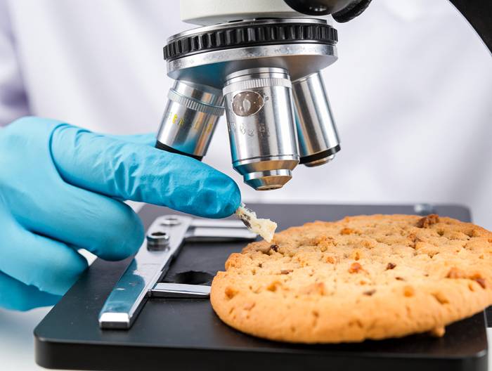 饼干转基因成分鉴定