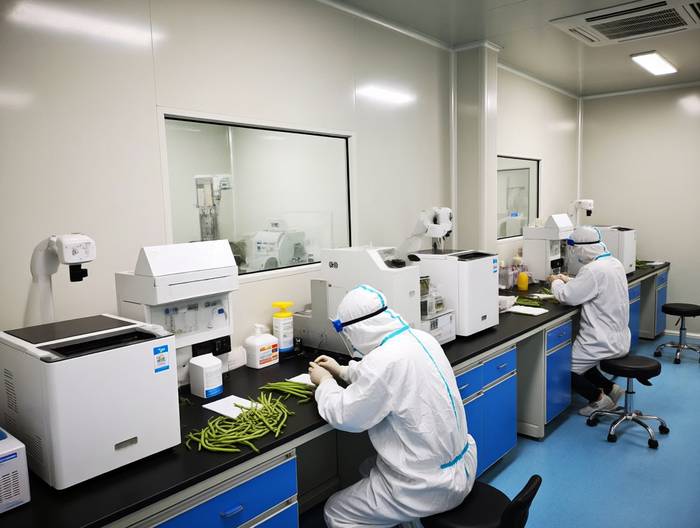 豇豆农药残留检测