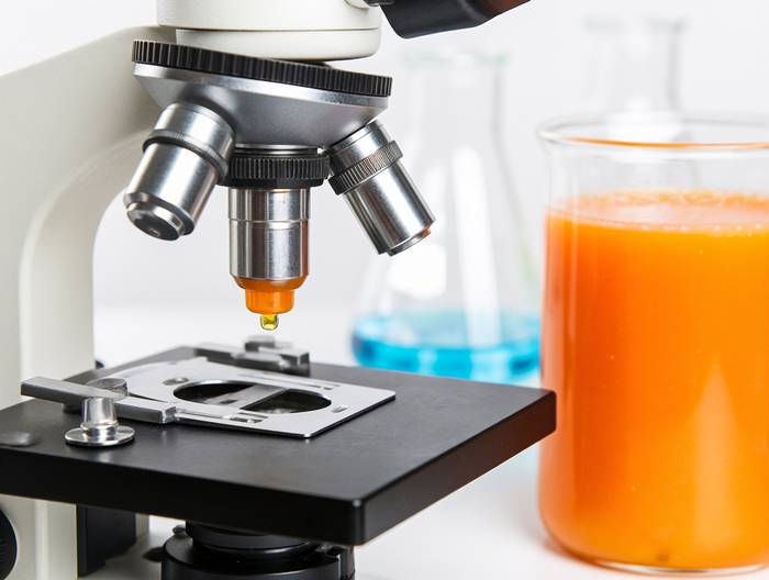 木瓜汁转基因成分鉴定