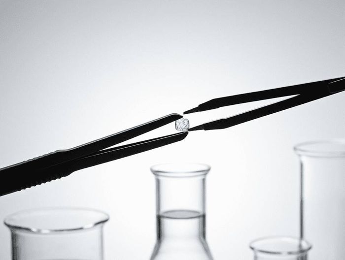 电凝镊生物相容性检测