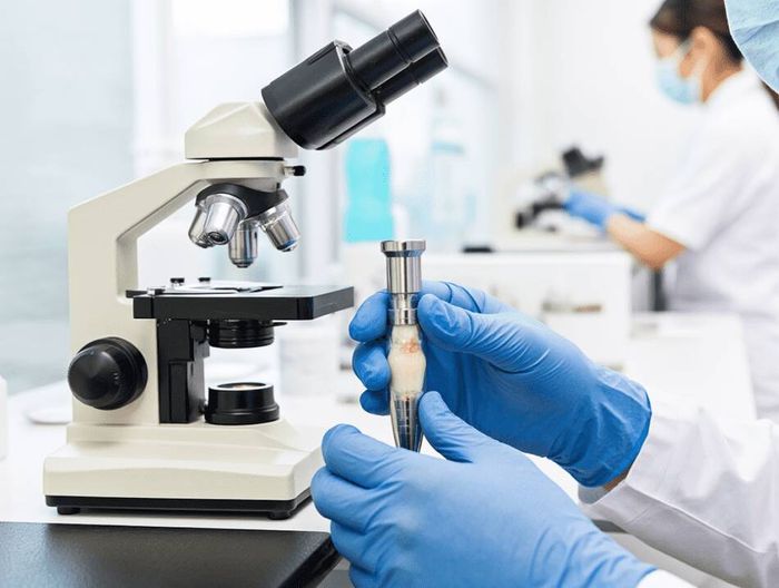 医用缝合锚钉生物相容性检测