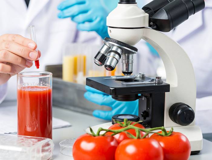 番茄汁转基因成分鉴定