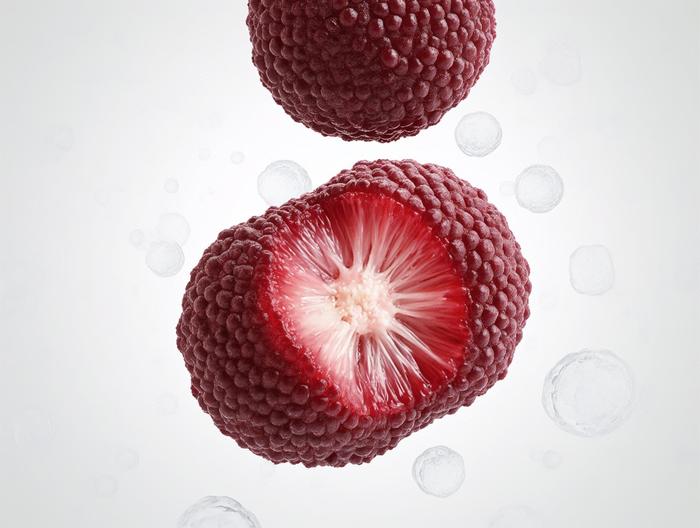 杨梅微生物检测