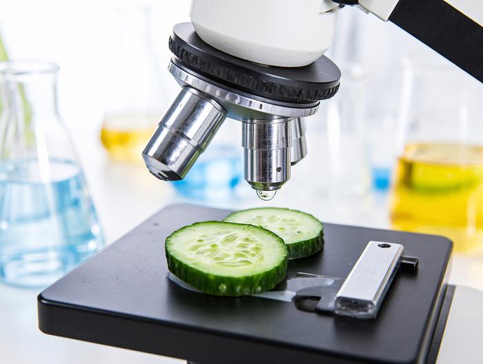 黄瓜微生物检测