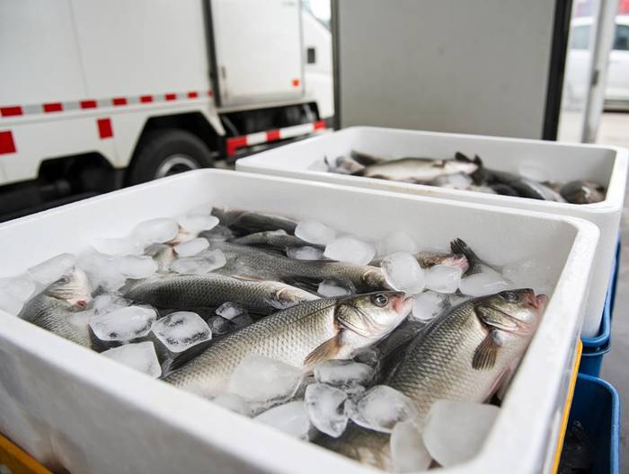 活鱼冷链运输验证