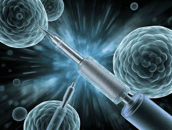 心脏起搏器电极生物相容性检测