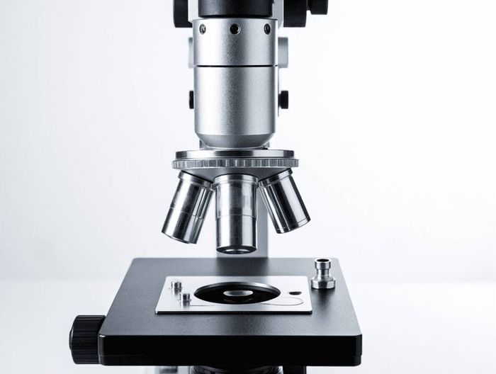 血管支架化学表征检测