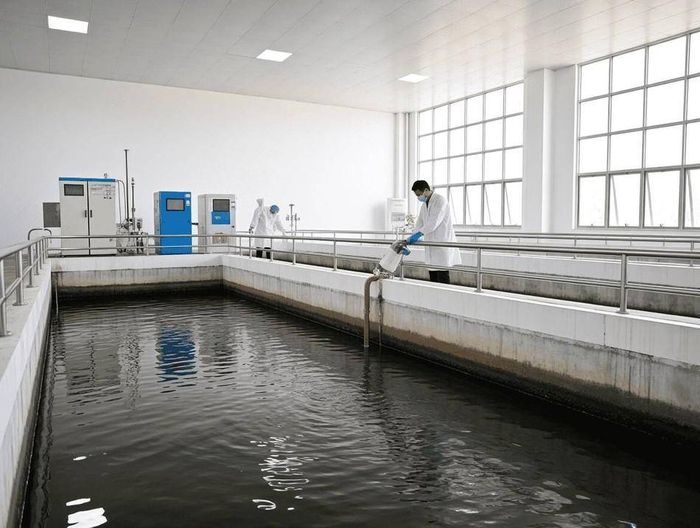 水产养殖尾水排放标准符合性验证