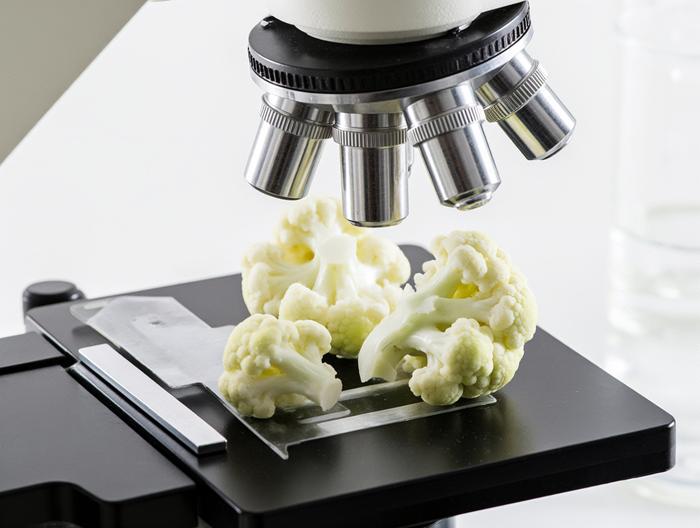 花菜微生物检测