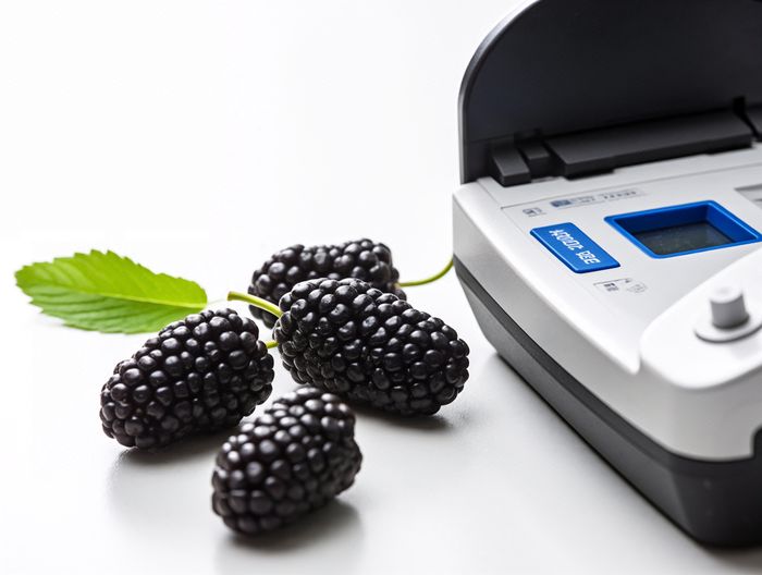 桑葚重金属检测